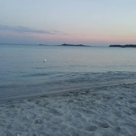 Simius *